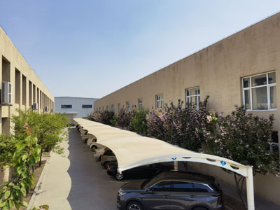 sausage processing machine factory