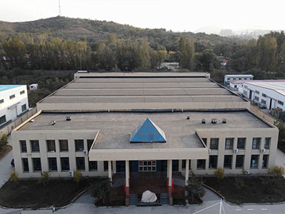 sausage processing machine factory